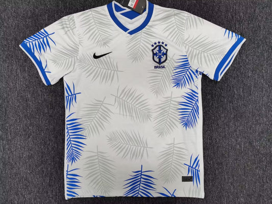 Brazil special